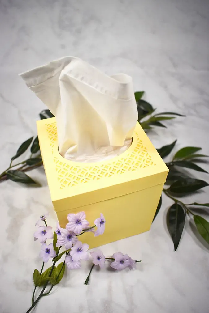 Tissue deals box holder