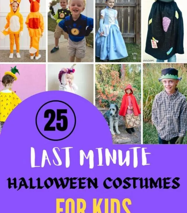 DIY Halloween costumes (1)